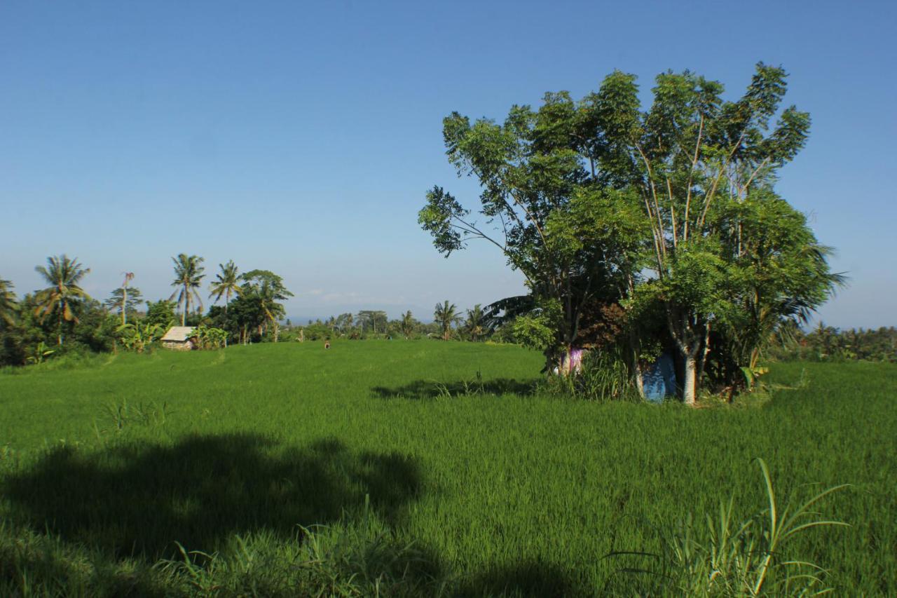 Telagamas Guest House Banjarangkan Bagian luar foto