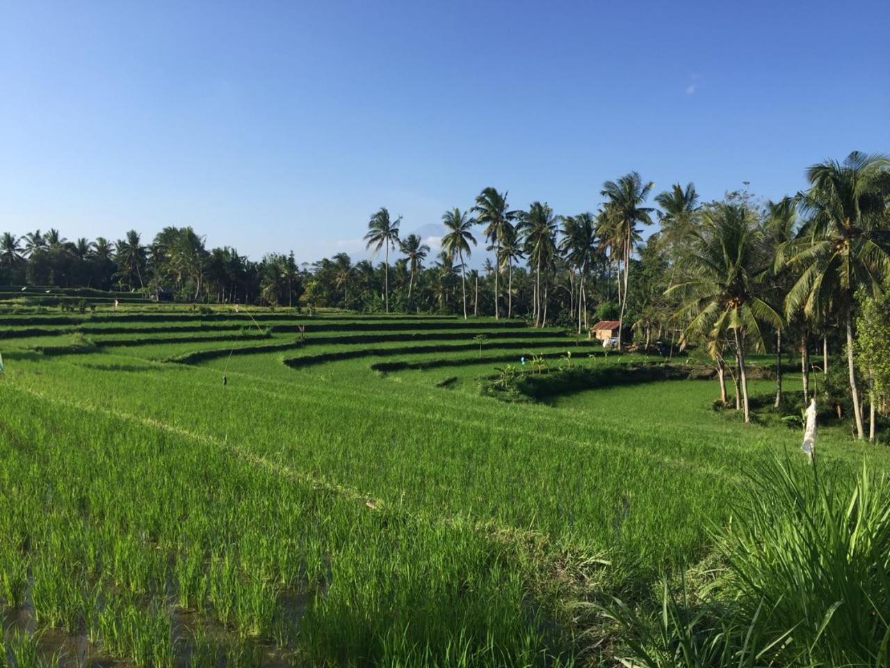 Telagamas Guest House Banjarangkan Bagian luar foto